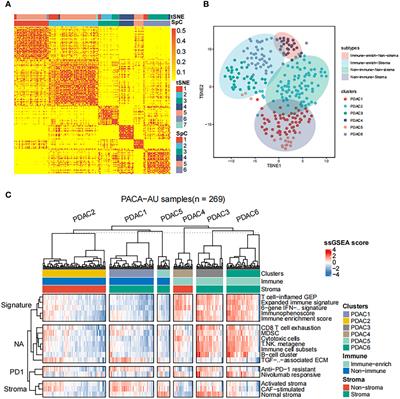 Reveal the Heterogeneity in the Tumor Microenvironment of Pancreatic Cancer and Analyze the Differences in Prognosis and Immunotherapy Responses of Distinct Immune Subtypes